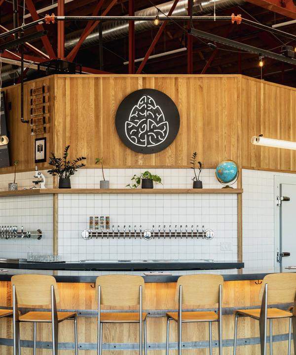 Cerebral Brewing - Aurora Arts photo